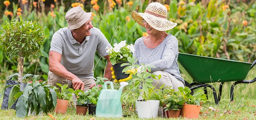 Nourishing Golden Years: The Vital Role of Nutrition in Nursing Homes